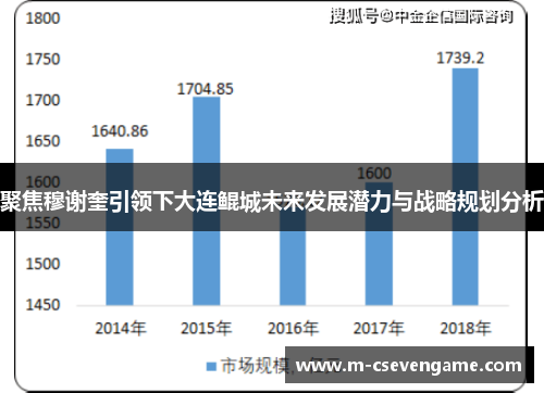 聚焦穆谢奎引领下大连鲲城未来发展潜力与战略规划分析