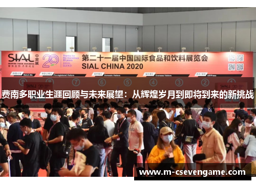 费南多职业生涯回顾与未来展望：从辉煌岁月到即将到来的新挑战