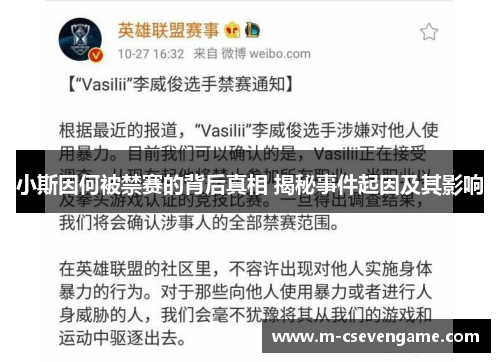 小斯因何被禁赛的背后真相 揭秘事件起因及其影响